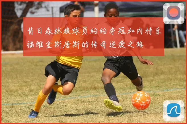 昔日森林狼球员纷纷夺冠加内特乐福维金斯唐斯的传奇逆袭之路